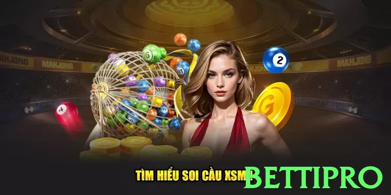 Guia Completo: bettipro - Tudo Que Você Precisa Saber em 2024 - pro